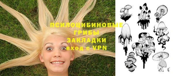 прущие крисы Абаза