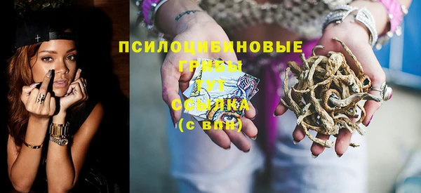 ешки Абинск