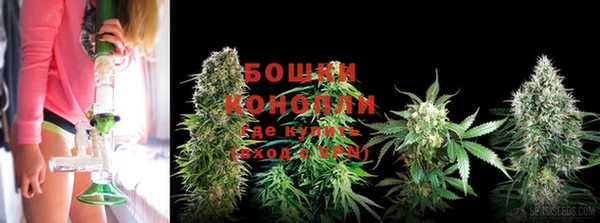 шишки Пересвет